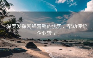 深度发挥网络营销的优势，帮助传统企业转型