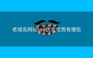 老域名网站seo优化优势有哪些