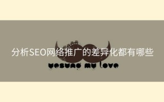 分析SEO网络推广的差异化都有哪些