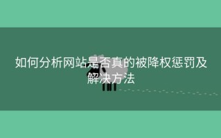 如何分析网站是否真的被降权惩罚及解决方法