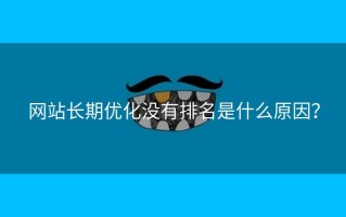 网站长期优化没有排名是什么原因？