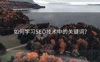 如何学习SEO技术中的关键词？