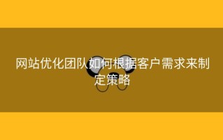 网站优化团队如何根据客户需求来制定策略