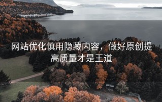 网站优化慎用隐藏内容，做好原创提高质量才是王道