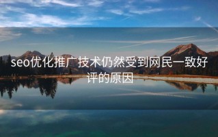 seo优化推广技术仍然受到网民一致好评的原因