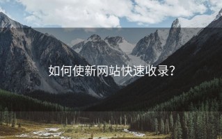 如何使新网站快速收录？