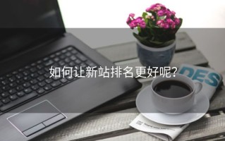 如何让新站排名更好呢？