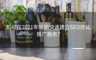 如何在2021年早期快速建立SEO优化推广服务？