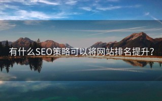 有什么SEO策略可以将网站排名提升？