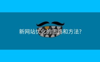 新网站优化的思路和方法?