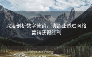 深度剖析数字营销，助企业透过网络营销获得红利