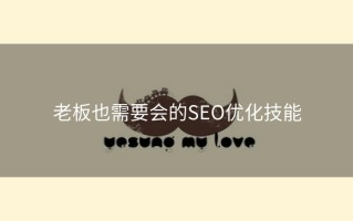 老板也需要会的SEO优化技能