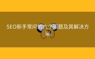 SEO新手常问的六个问题及其解决方案