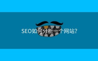 SEO如何分析一个网站？