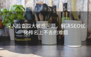 深入检查四大敏感问题，解决SEO优化排名上不去的难题