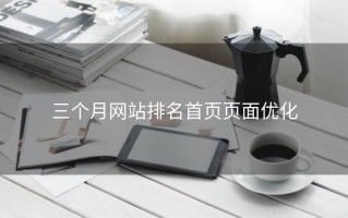 三个月网站排名首页页面优化