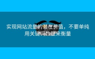 实现网站流量的潜在价值，不要单纯用关键词数量来衡量