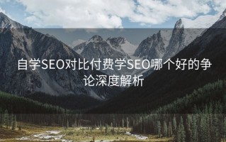 自学SEO对比付费学SEO哪个好的争论深度解析