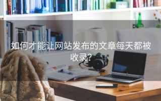 如何才能让网站发布的文章每天都被收录？