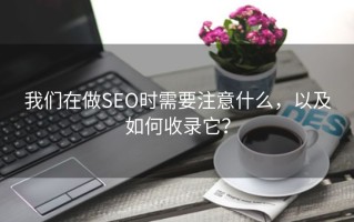 我们在做SEO时需要注意什么，以及如何收录它？