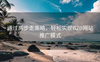 通过两步走策略，轻松实现B2B网站推广模式