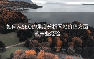 如何从SEO的角度分析网站价值方面的一些经验