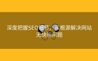 深度把握SEO细节，从根源解决网站无快照问题