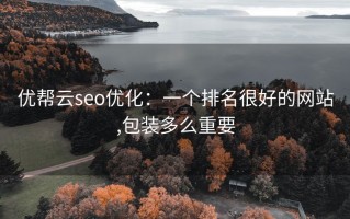 优帮云seo优化：一个排名很好的网站,包装多么重要