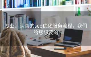 专业、认真的seo优化服务流程，我们给您想要的