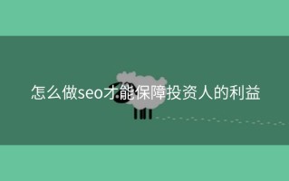 怎么做seo才能保障投资人的利益