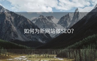 如何为新网站做SEO？