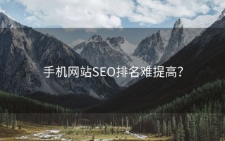 手机网站SEO排名难提高？