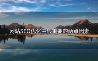 网站SEO优化中很重要的两点因素