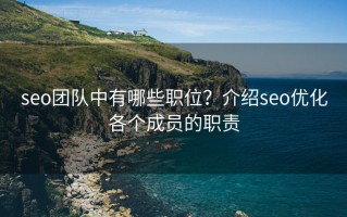 seo团队中有哪些职位？介绍seo优化各个成员的职责