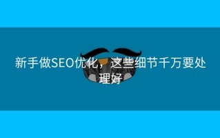 新手做SEO优化，这些细节千万要处理好