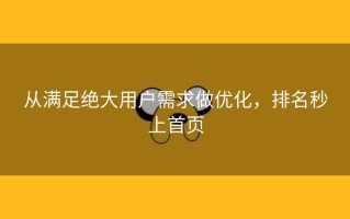 从满足绝大用户需求做优化，排名秒上首页