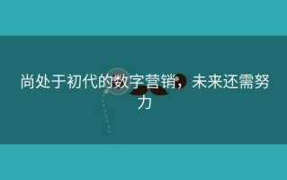 尚处于初代的数字营销，未来还需努力