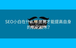 SEO小白在什么样公司才能提高自身的优化技术？