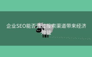 企业SEO能否通过搜索渠道带来经济效益