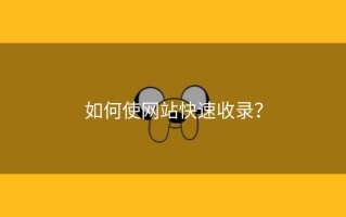 如何使网站快速收录？