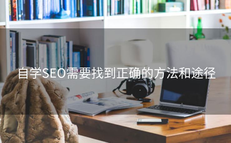 自学SEO需要找到正确的方法和途径-第2张图片-慧达站长工具