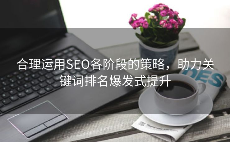 合理运用SEO各阶段的策略，助力关键词排名爆发式提升-第2张图片-慧达站长工具