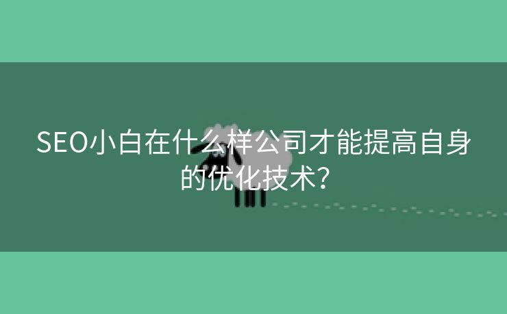 SEO小白在什么样公司才能提高自身的优化技术？-第2张图片-慧达站长工具