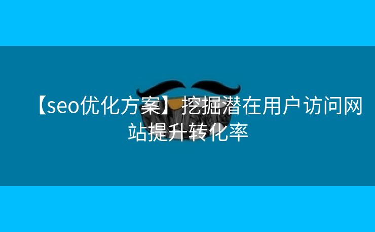 【seo优化方案】挖掘潜在用户访问网站提升转化率-第1张图片-慧达站长工具