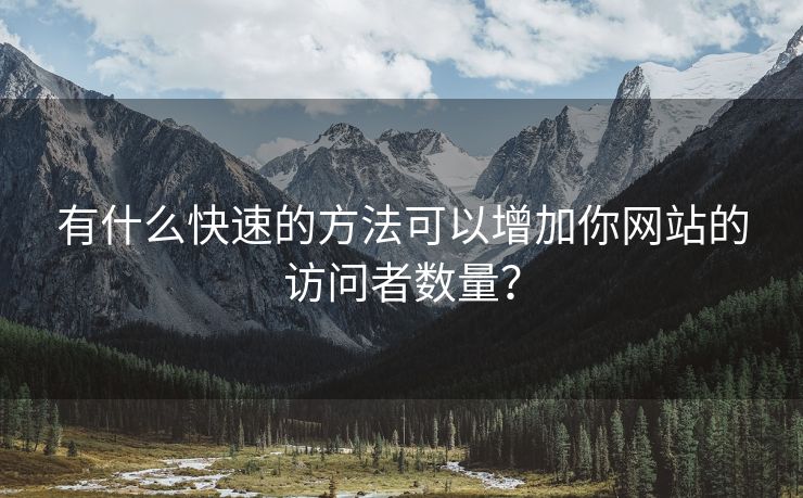 有什么快速的方法可以增加你网站的访问者数量？-第1张图片-慧达站长工具