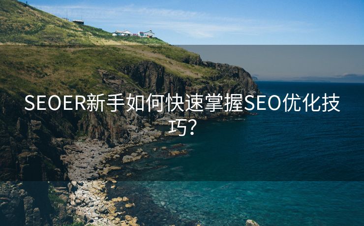 SEOER新手如何快速掌握SEO优化技巧？-第1张图片-慧达站长工具