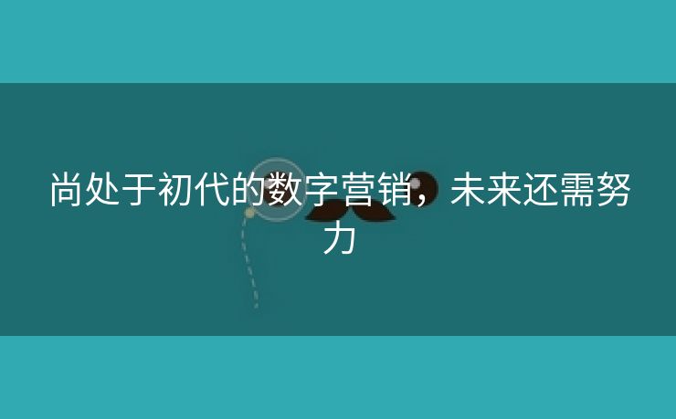 尚处于初代的数字营销，未来还需努力-第1张图片-慧达站长工具