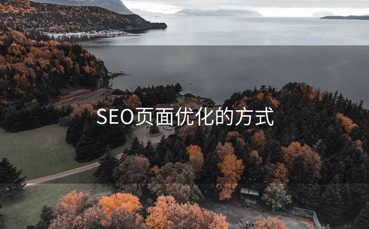 SEO页面优化的方式-第1张图片-慧达站长工具