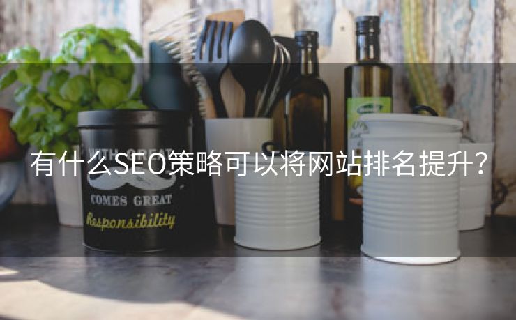 有什么SEO策略可以将网站排名提升？-第2张图片-慧达站长工具