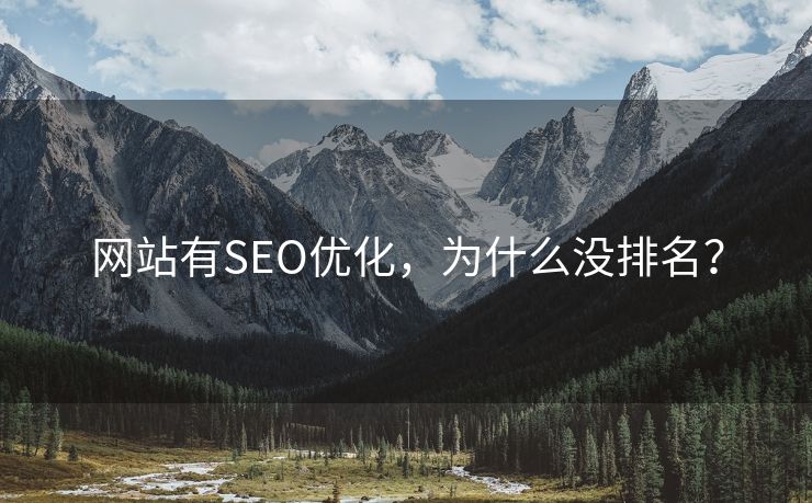 网站有SEO优化，为什么没排名？-第2张图片-慧达站长工具